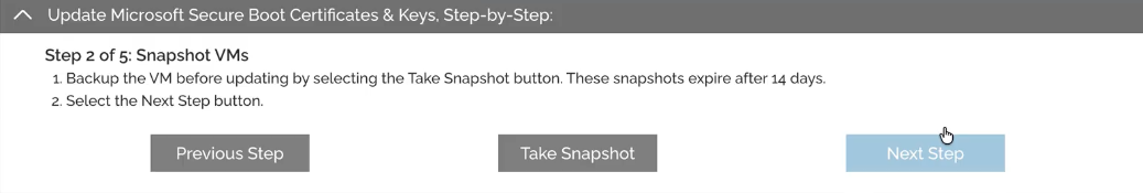 Step 2: Snapshotting the VMs before the update