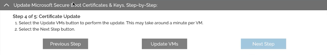 Step 4: Apply the update